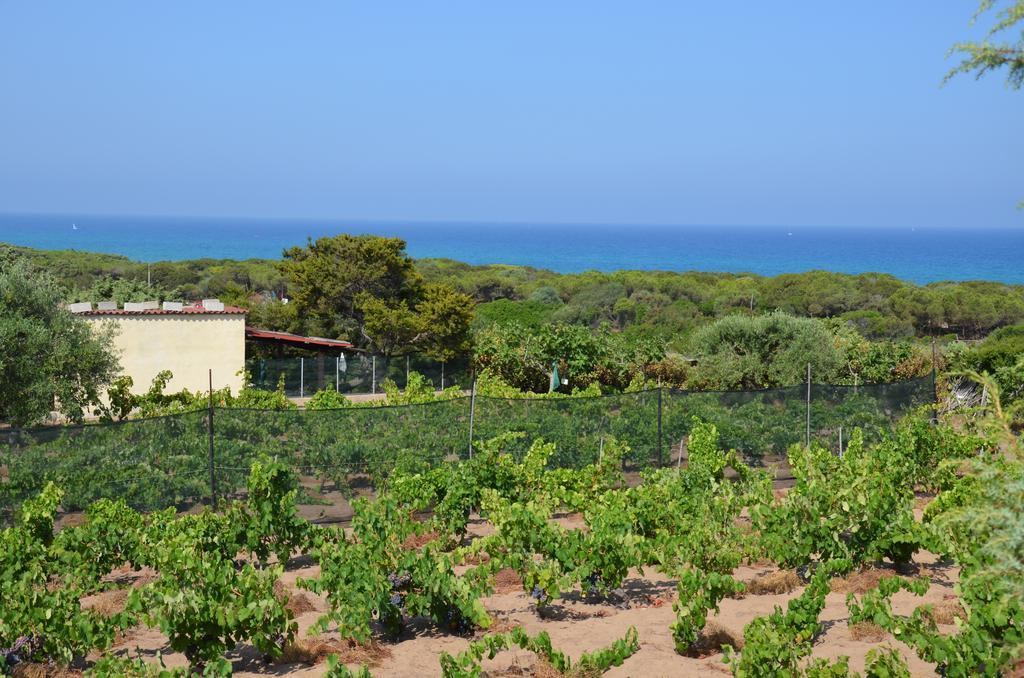 Residence Costa Del Turchese Badesi Extérieur photo
